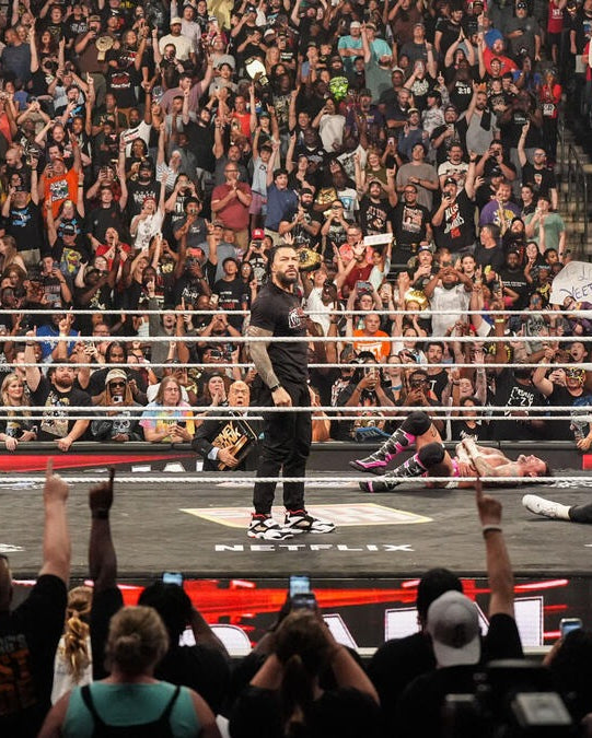 Polerón Roman Reigns TC1