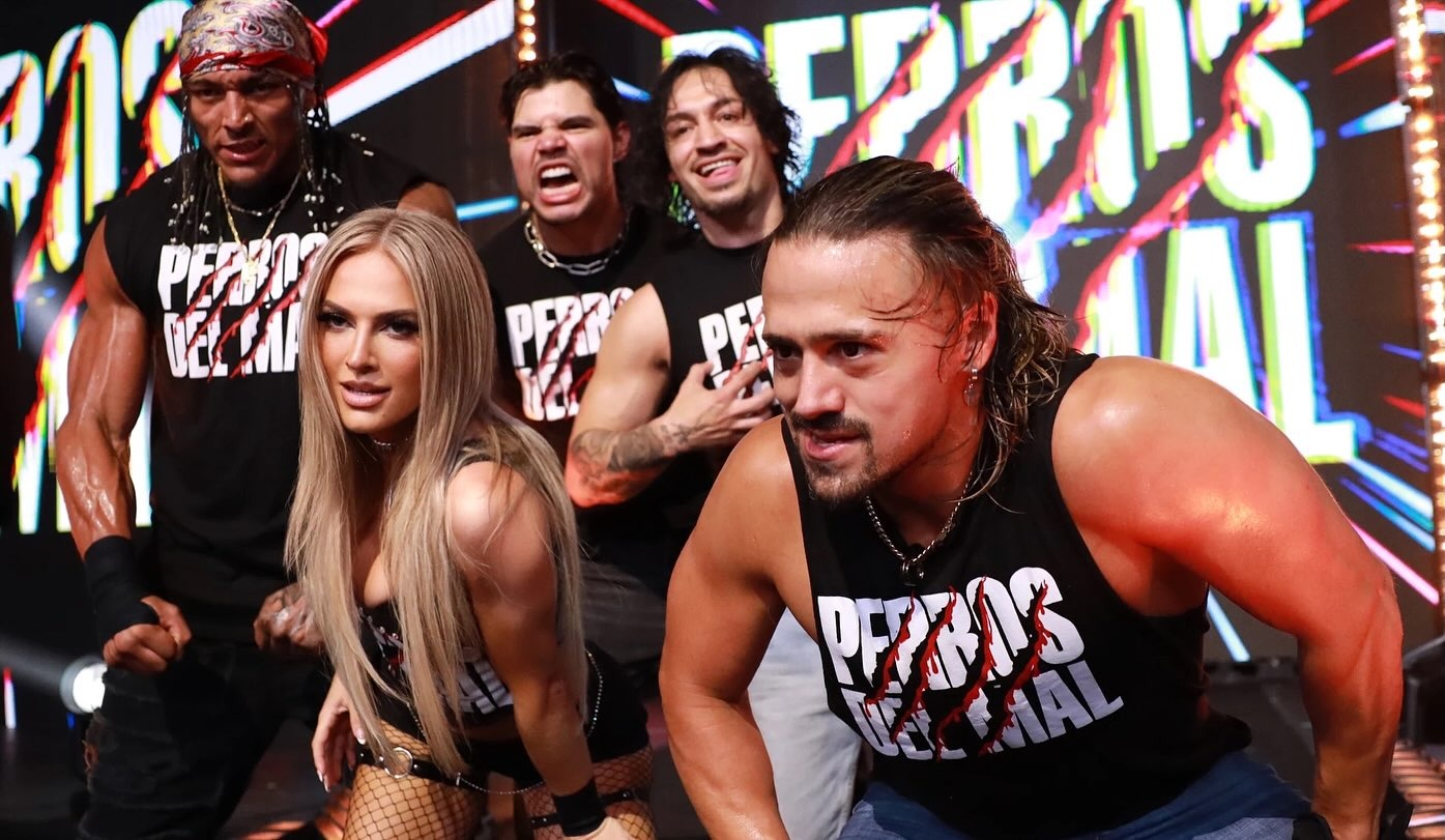 Polera PERROS DEL MAL de AAA y WWE