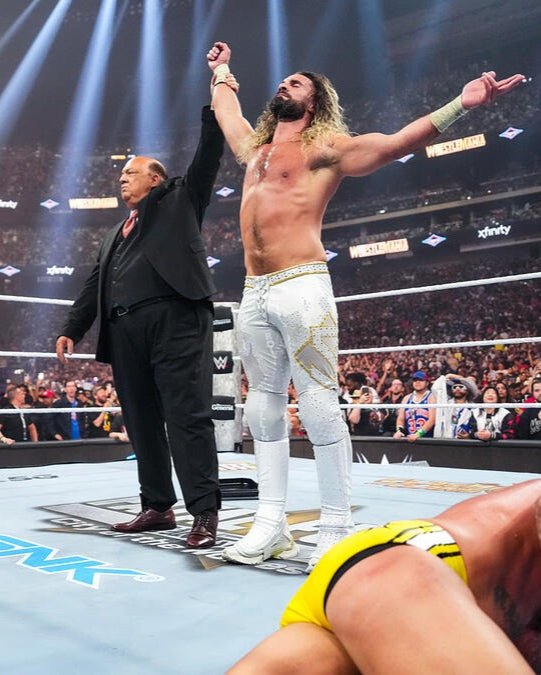 Polerón WWE Seth Rollins Revolutionary logo - Poleras316