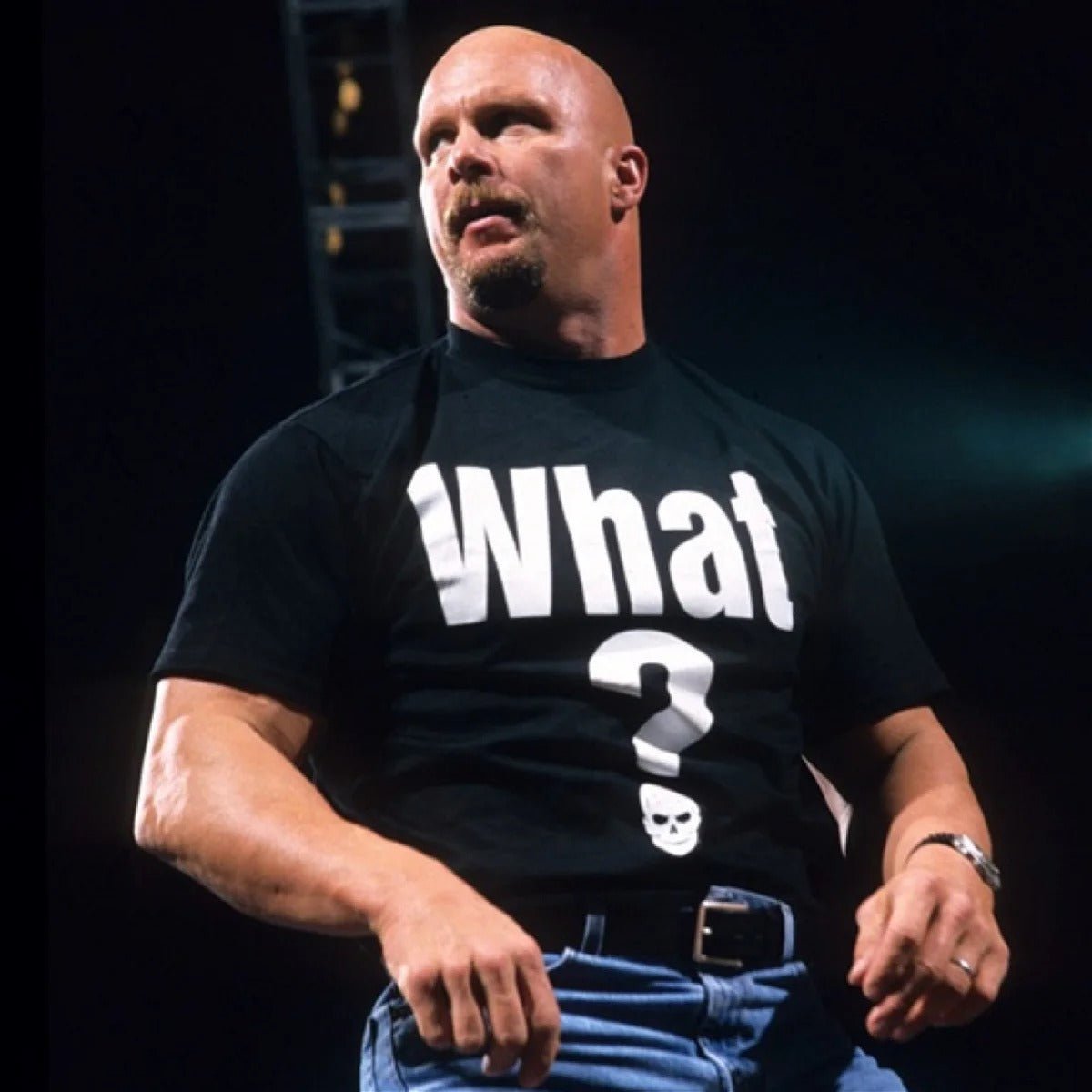 Polera Stone Cold WHAT? - Poleras316