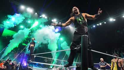 Polera The Hardy Boyz NXT 2025 - Poleras316