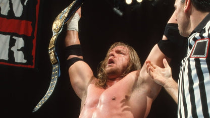 Polerón Triple H WWE - Poleras316
